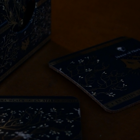 Lot de 4 sous-verres - Famille Black