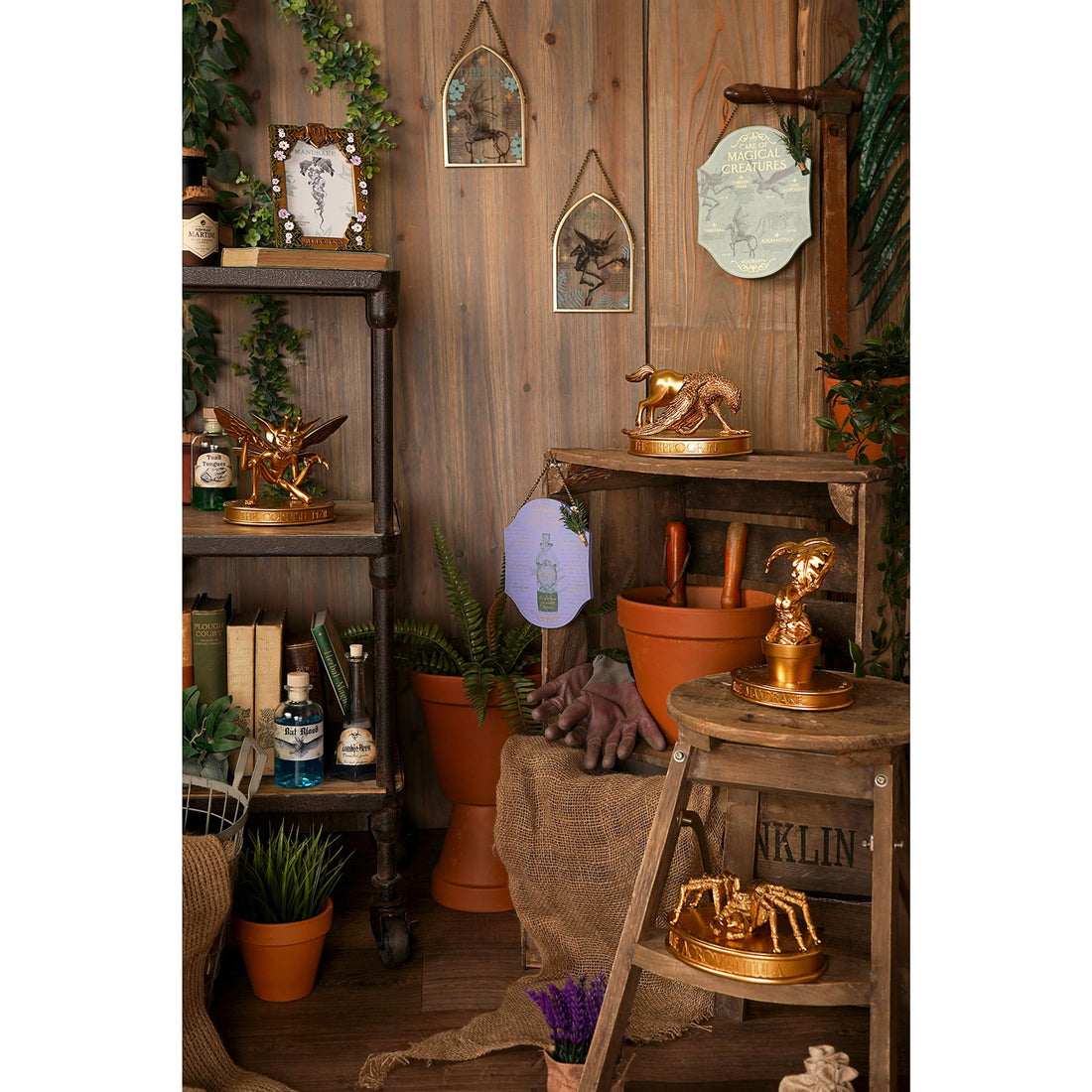Plaque Arche - Aragog