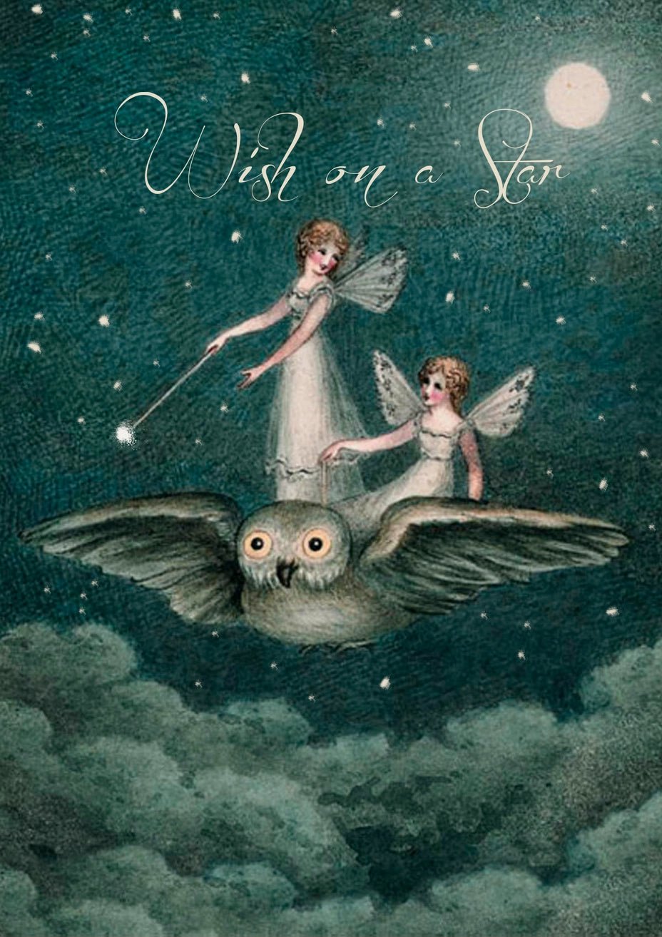 Carte de voeux - Wish on a star - La Muchette