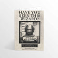 Carte de voeux lenticulaire Harry Potter - Have you seen this wizard? - La Muchette