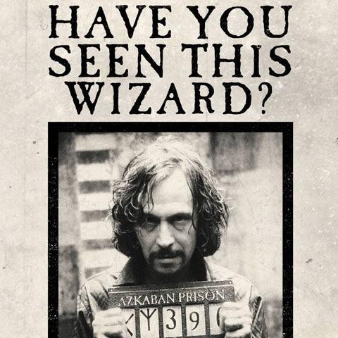 Carte de voeux lenticulaire Harry Potter - Have you seen this wizard? - La Muchette