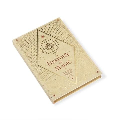 Journal - A History of Magic - La Muchette