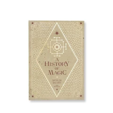 Journal - A History of Magic - La Muchette