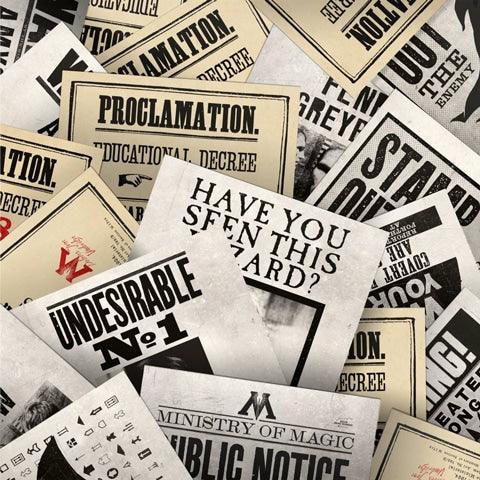 Lot de 20 cartes postales - Ministry of Magic - La Muchette