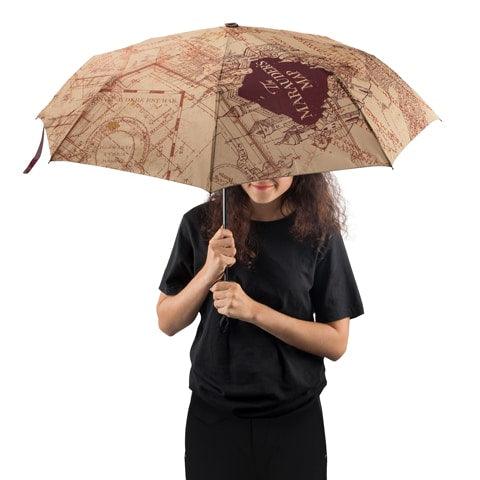Parapluie - Carte du Maraudeur - La Muchette