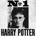 Poster - Undesirable No.1 Harry Potter - La Muchette